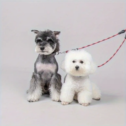 Double laisse pour chien rouge