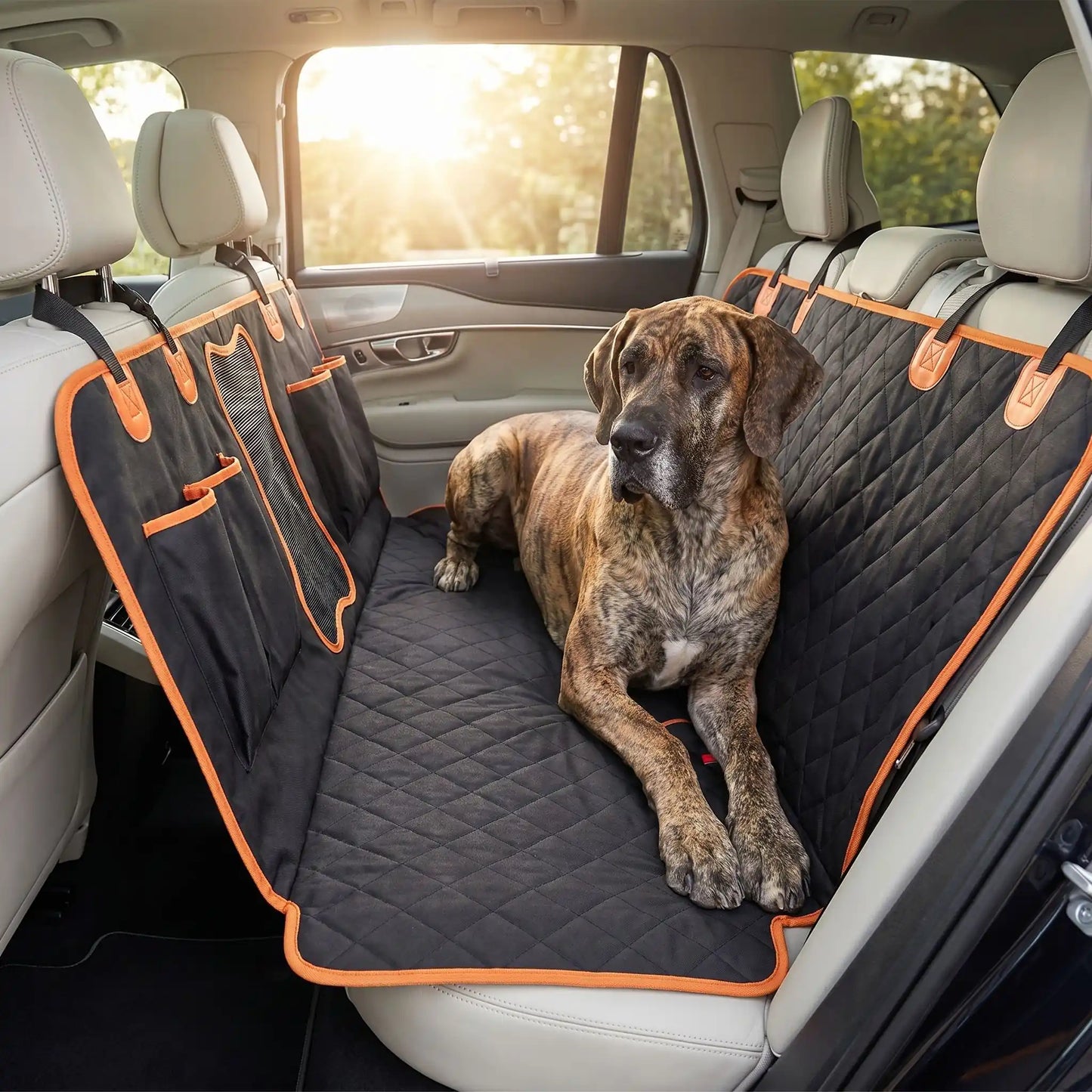Elite paw protection voiture chien luxe