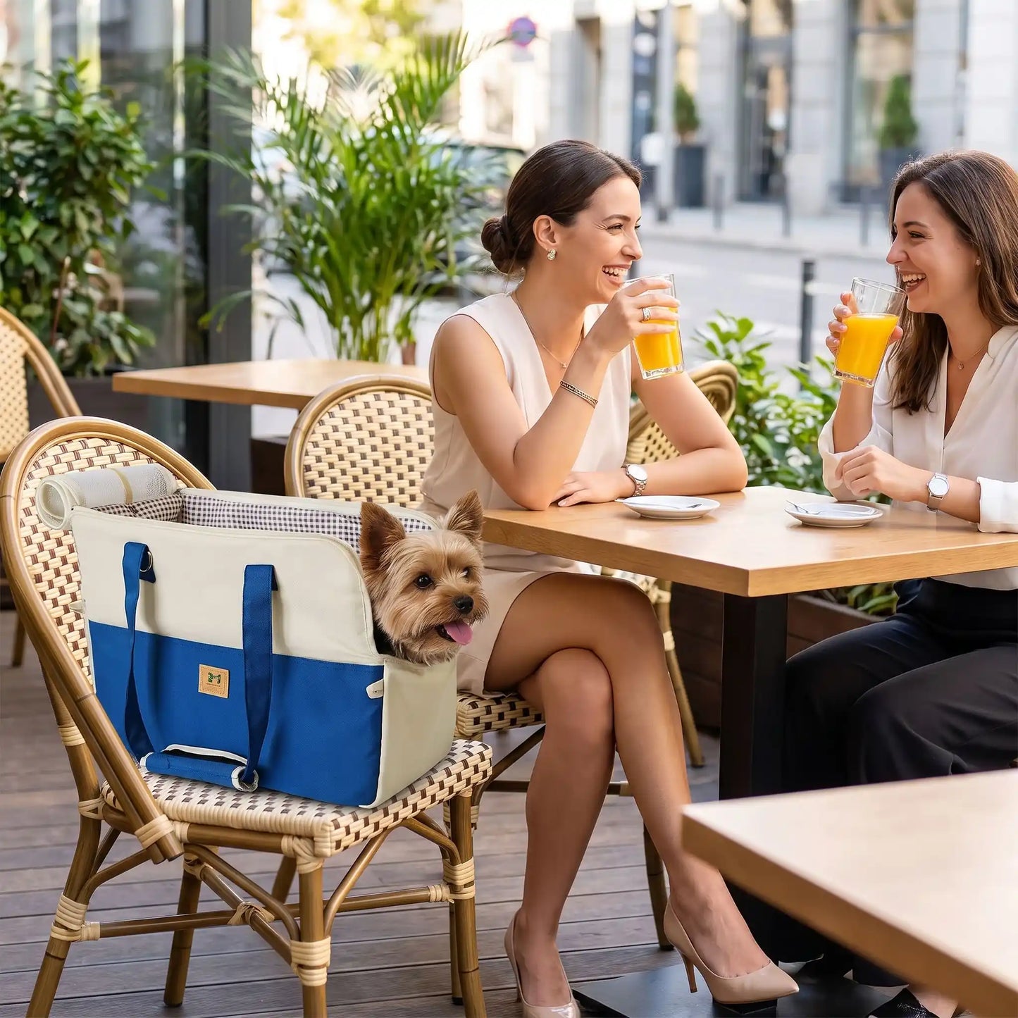Femme buvant jus sac transport chien sur chaise