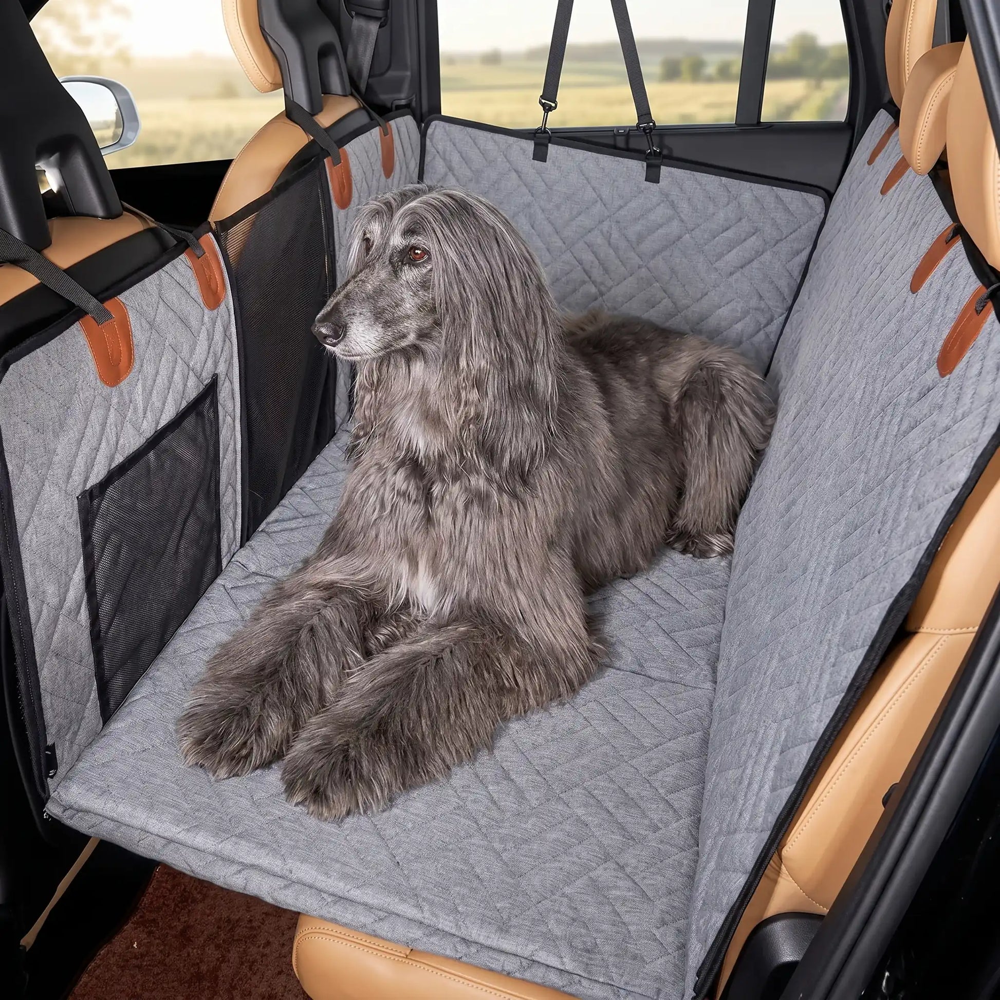Haut gamme protection voiture