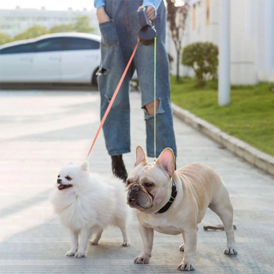 Laisse a enrouleur pour chien deux chien