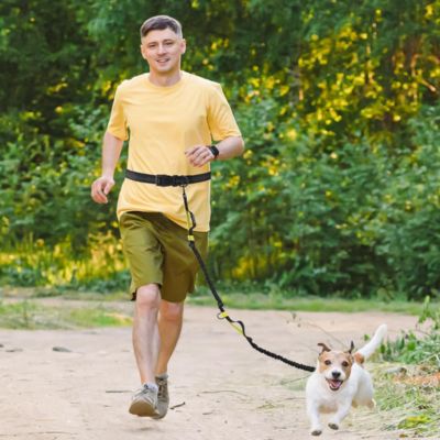 Laisse canicross homme cour petit chien