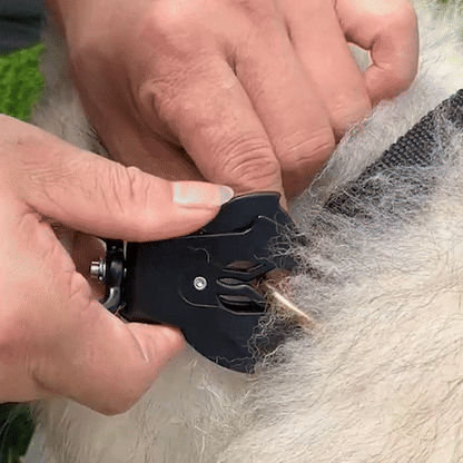 Laisse pour chien / Adaptacomfort™