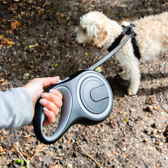 Laisse pour chien noir