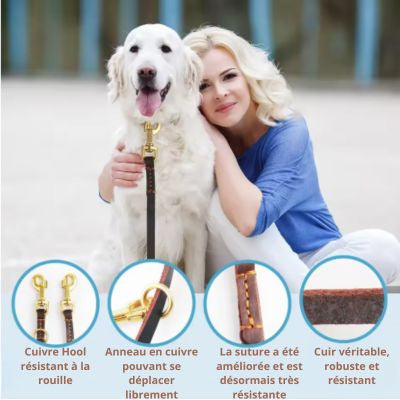 Leather lead caractéristique laisse mains libres cuir