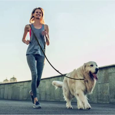 Leather lead femme cour chien laisse mains libres cuir