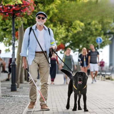 Leather lead homme marche chien laisse mains libre cuir