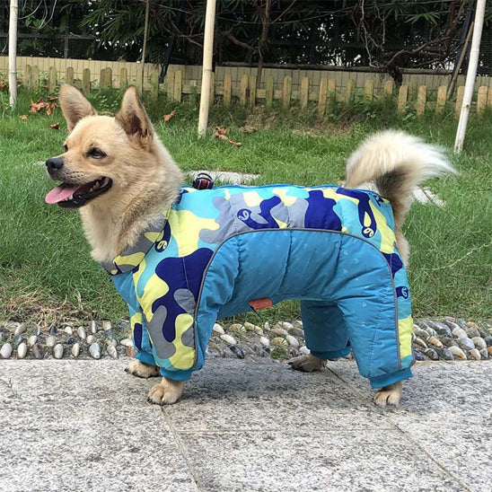 Manteau pour chien combinaison bleu
