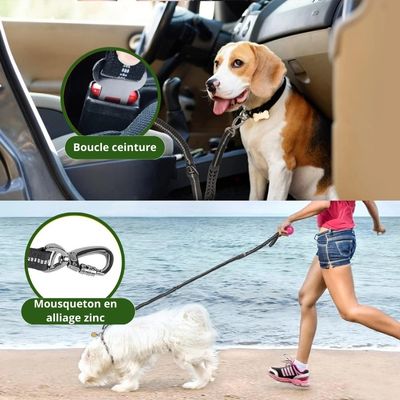 Laisse multifonctions™ ‡  The Safety Leash™