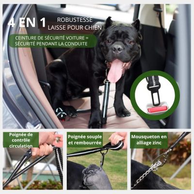 Laisse multifonctions™ ‡  The Safety Leash™