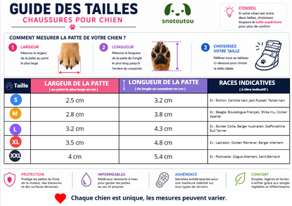 Nomade tailles chaussure pour chien