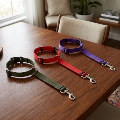 PetBuckle trois teinte ceinture de sécurité pour chien