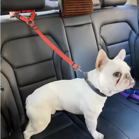 Petbuckle ceinture sécurité pour chien en voiture