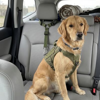 Petbuckle kaki ceinture de sécurité pour chien
