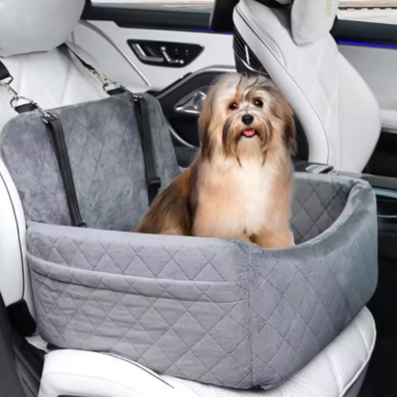Petit chien dans siège auto pour chien