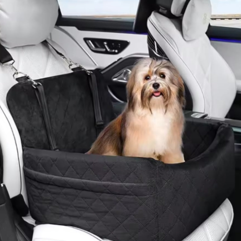 Petit chien installer siège auto pour chien noir