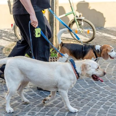 Pooetui pour sac à déjection verre