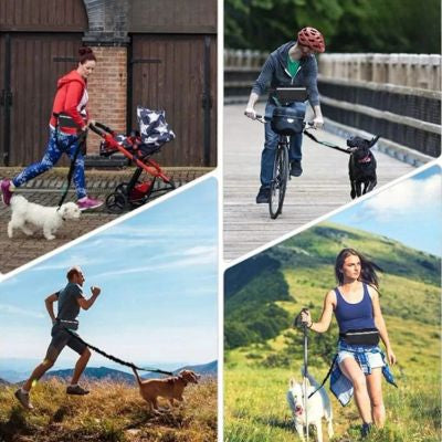 Power run multifonction laisse canicross