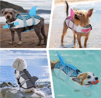 Safepaws chiens nage avec gilet de sauvetage chien