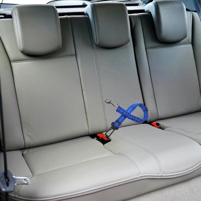 Ceinture de sécurité voiture I Car seat blet™