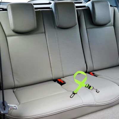 Ceinture de sécurité voiture I Car seat blet™