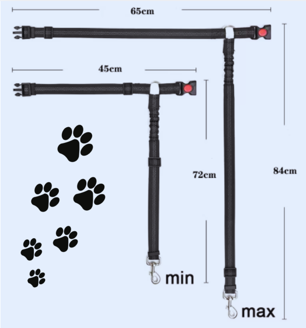 Securpaw-taille-mini-maxi 2