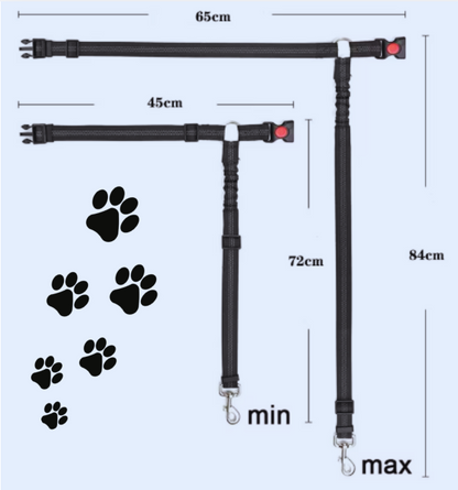 Securpaw-taille-mini-maxi 2
