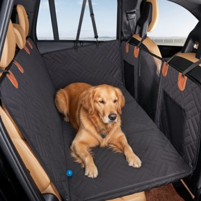 Setter Irlandais allongé protection voiture chien