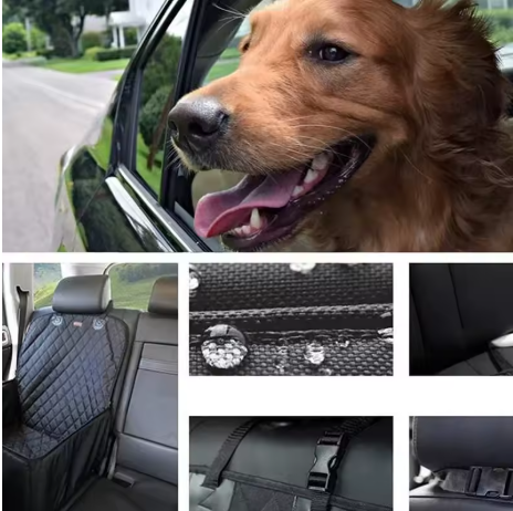 Siège auto pour chien situation