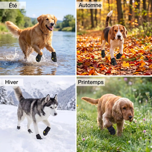 Situation chien quatre saisons chaussure pour chien
