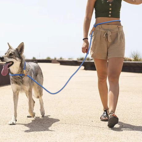 Sport actif laisse mains- ibres pour chien attaché taille