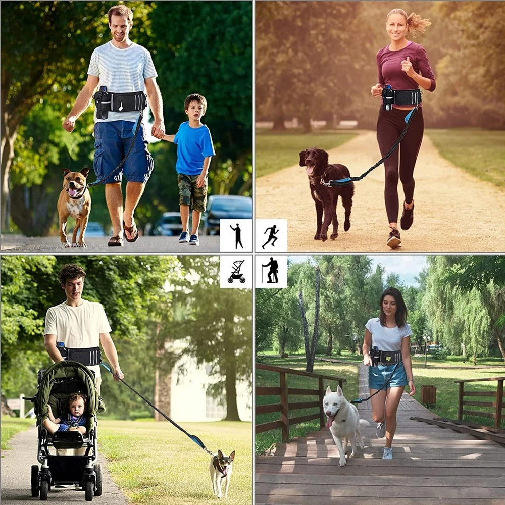 Torun multifonction laisse canicross