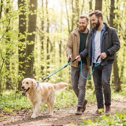 Vybe hommes se promène bois laisse mains libres grande longueur