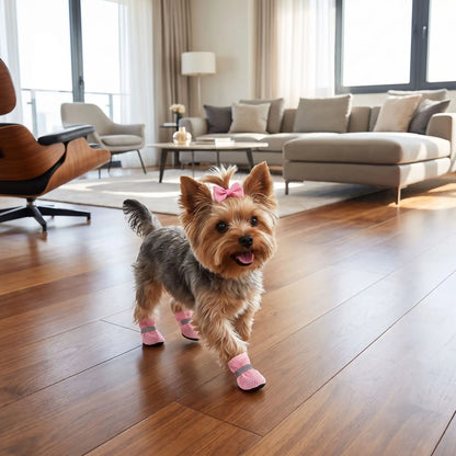 Chaussures chien respirante | PawComfort™