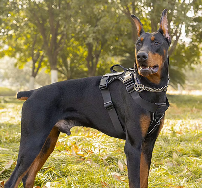 airpaw harnais chien noir