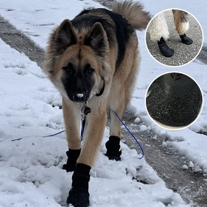Alpine chaussures chien anti brûlure de la neige
