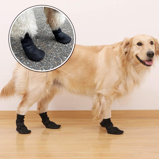 Alpine chaussures chien intérieure et extérieure