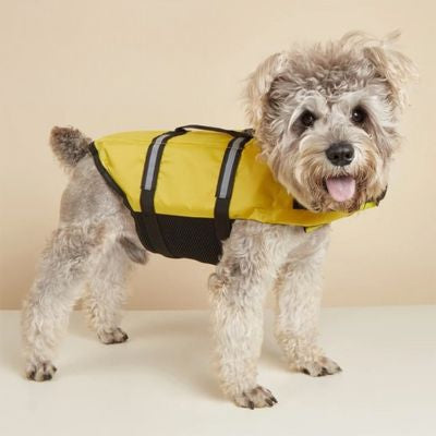 aquarider jaune fluo gilet de sauvetage chien 12
