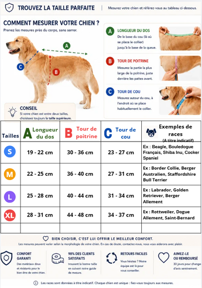 articpaw guide taille manteau pour chien