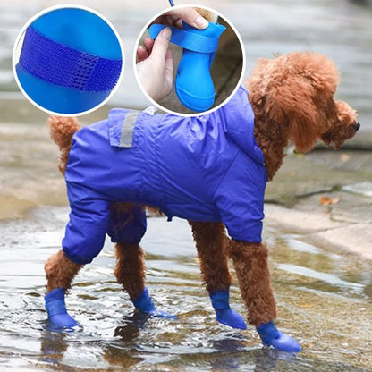 Au printemps le chien sur la sable de la plage avec ces chaussure chien