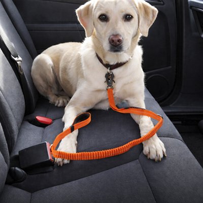 AutoDod Clip Ceinture de sécurité pour chien multifonctions 