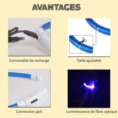Avantages collier lumineux chien