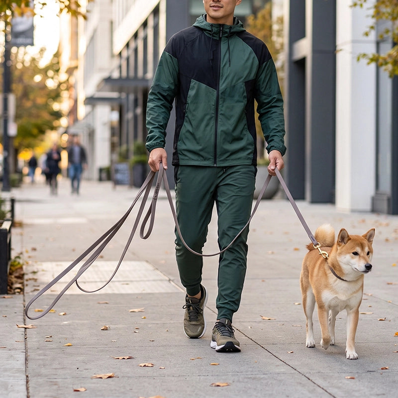 Balade chien collie ville avec longe pour chien marron