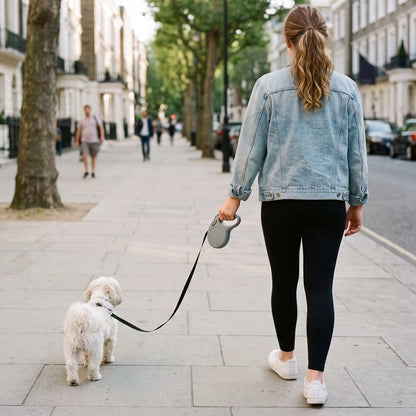 balade en ville le chien est en Laisse enrouleur pour chien