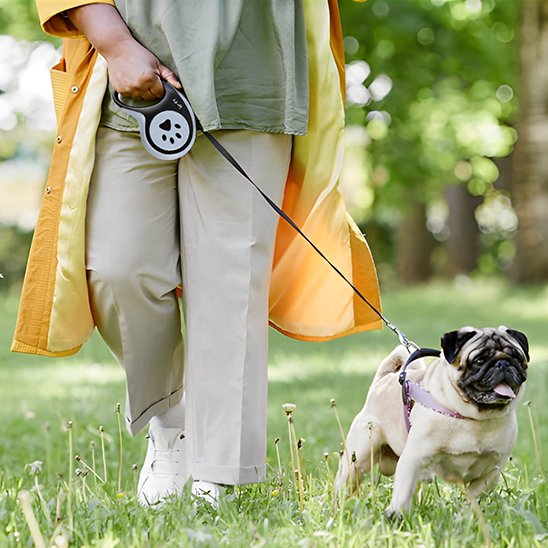 balade laisse a enrouleur pour chien