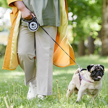 balade laisse a enrouleur pour chien