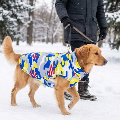 Balade neige du chien avec Manteau Chien camouflage