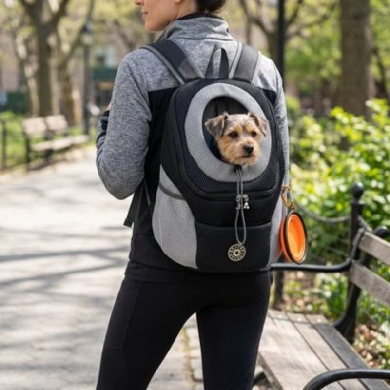 Balade parc Sac a dos chien noir et gris
