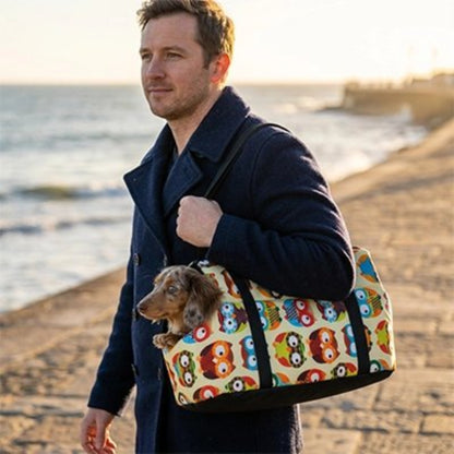 Balade sur la plage avec le Sac de transport pour petit Chien