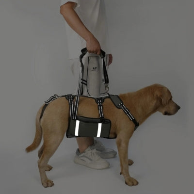 Bande réfléchissante sur entourage harnais levage chien